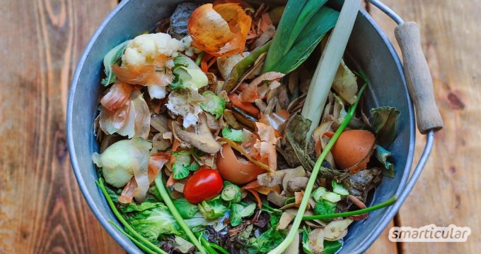 Gemüsereste wie Blattgrün und Obstkerne sinnvoll verwerten und leckere Gerichte daraus kochen, anstatt sie wegzuwerfen: So verarbeitest du die Vitalstoff-Quellen.