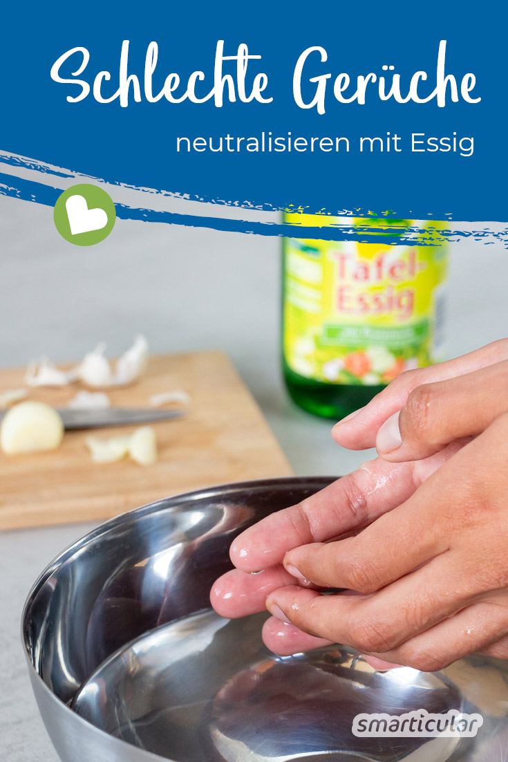 Gerüche kann man ganz einfach mit Essig neutralisieren. Mit dem natürlichen Hausmittel entfernst du nicht nur unangenehme Gerüche in der Wohnung, sondern auch Knoblauchgeruch an den Händen.