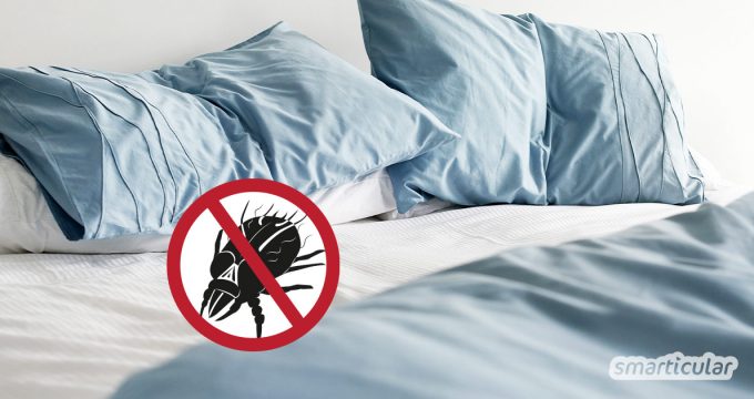 Hausstaubmilben tummeln sich vor allem im Bett und können starke Beschwerden verursachen. Mit diesen einfachen Maßnahmen und Hausmitteln kannst du die Plagegeister nachhaltig bekämpfen.