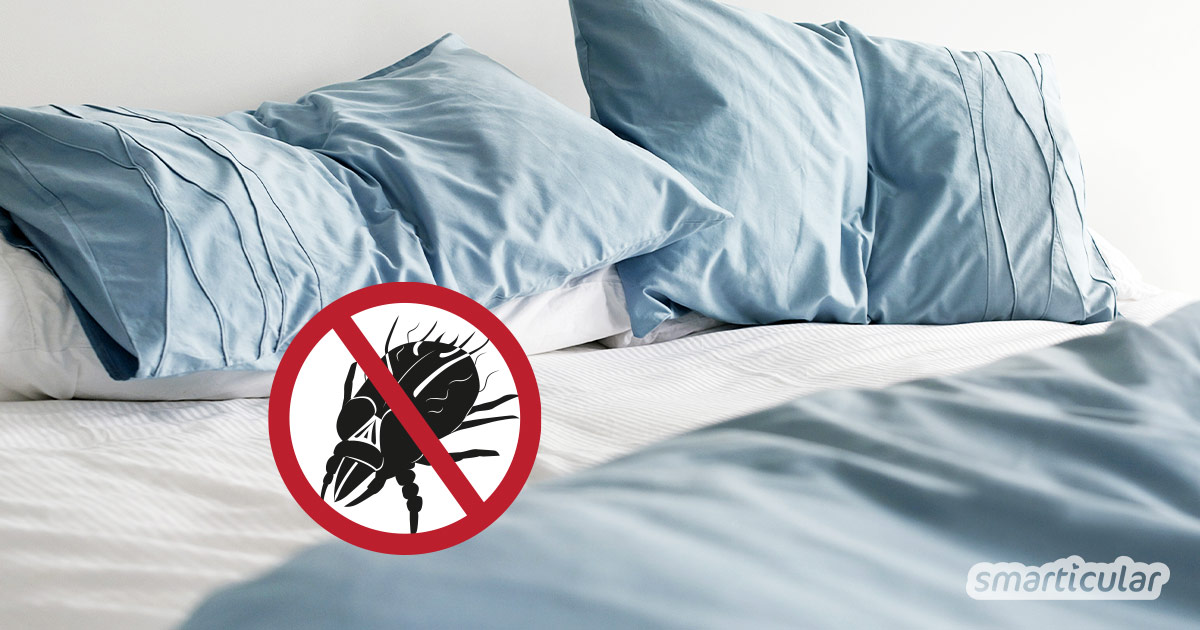 Hausstaubmilben tummeln sich vor allem im Bett und können starke Beschwerden verursachen. Mit diesen einfachen Maßnahmen und Hausmitteln kannst du die Plagegeister nachhaltig bekämpfen.