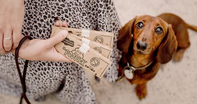 Immer mehr junge Unternehmen suchen einen Ausweg aus der Müllflut und produzieren Alternativen zu Plastikprodukten. Hier findest du die wichtigsten nachhaltigen Startups.