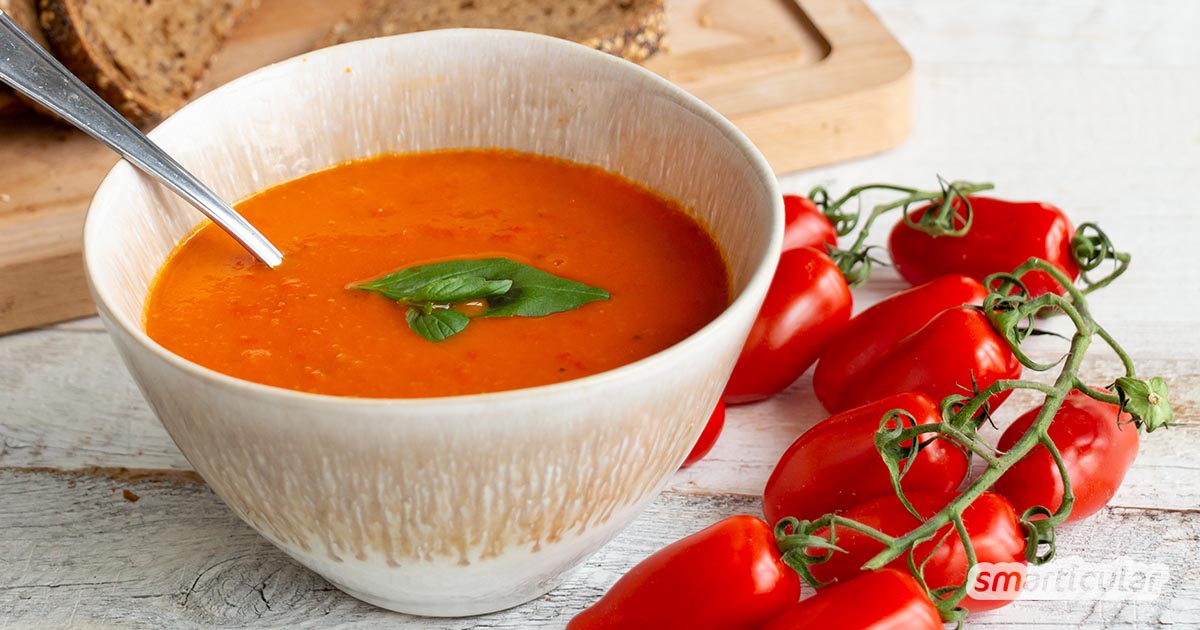 Eine Tomatensuppe aus frischen Tomaten schmeckt viel besser als eine aus der Dose oder der Tüte und verursacht viel weniger Müll. Besonders lecker wird sie mit diesem Rezept!