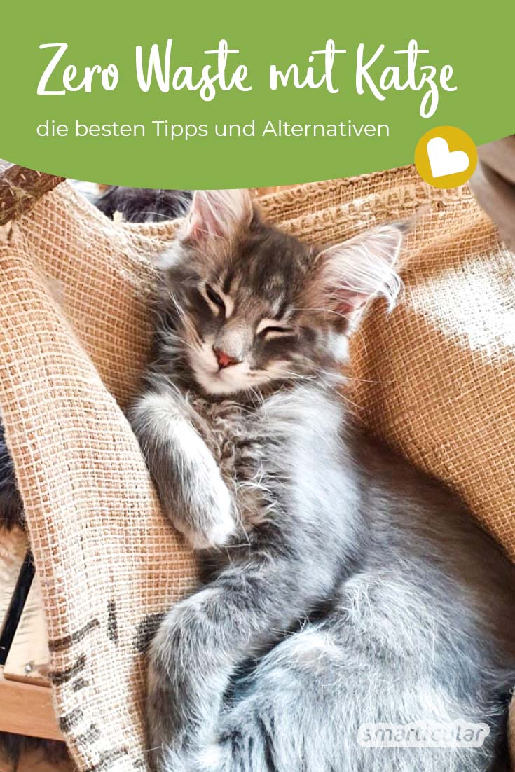 Herkömmliche Produkte für Katzen sind alles andere als nachhaltig. Mit diesen Alternativen lebt dein Stubentiger umweltfreundlicher und gesünder.