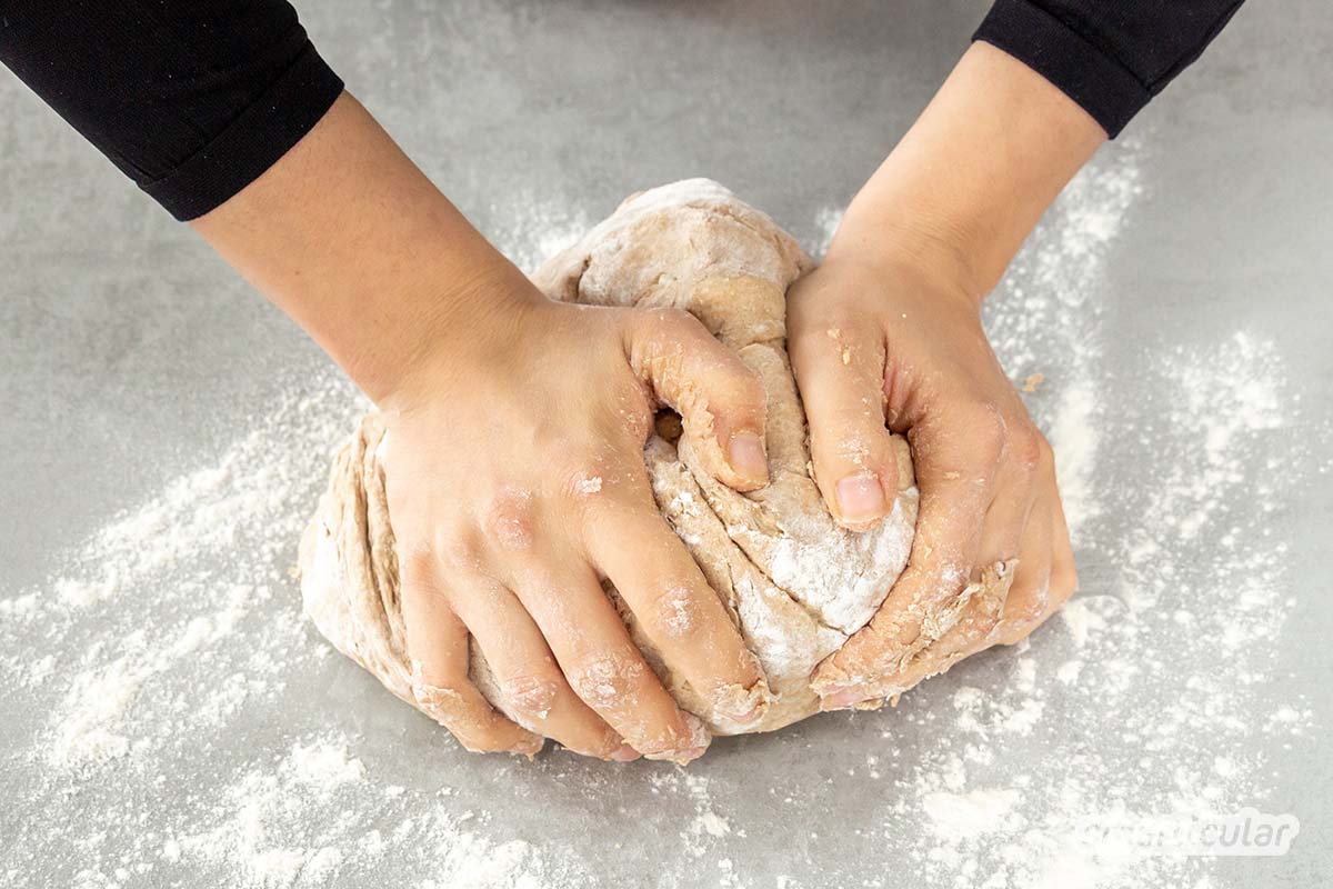 Statt Aufbackbrötchen aus dem Supermarkt zu kaufen, kannst du sie auch selbst auf Vorrat backen, einfrieren und bei Bedarf schnell aufbacken und genießen.