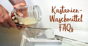 Aus Kastanien lässt sich umweltfreundliches und kostenloses Waschmittel selbst herstellen. Antworten auf alle Fragen zum Waschen mit Kastanienwaschmittel findest du hier!