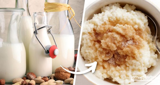 Ob aus gesundheitlichen oder ökologischen Gründen, immer mehr Menschen suchen nach einem Ersatz für Kuhmilch. Mit diesen Tipps gelingen Klassiker wie Milchreis, Pudding und Co. milchfrei.