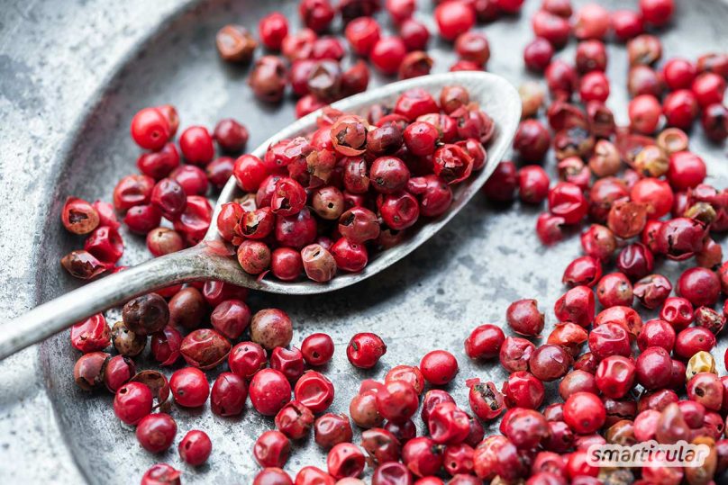 Pfeffer gibt den Speisen nicht nur eine schön scharfe Würze, sondern ist außerdem richtig gesund! Wie er deine Verdauung unterstützen und bei Erkältung helfen kann, erfährst du hier.