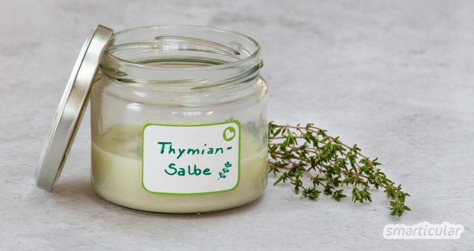Eine Erkältungssalbe mit Thymian selber zu machen, ist sehr einfach, und du kannst auf unerwünschte Inhaltsstoffe verzichten.
