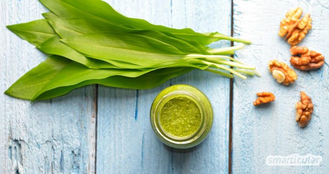 Ein Bärlauchpesto vegan zuzubereiten, ist gar nicht schwer, und das Ergebnis schmeckt köstlich. Nüsse, Kerne und Hefeflocken verfeinern den Geschmack des Pestos.