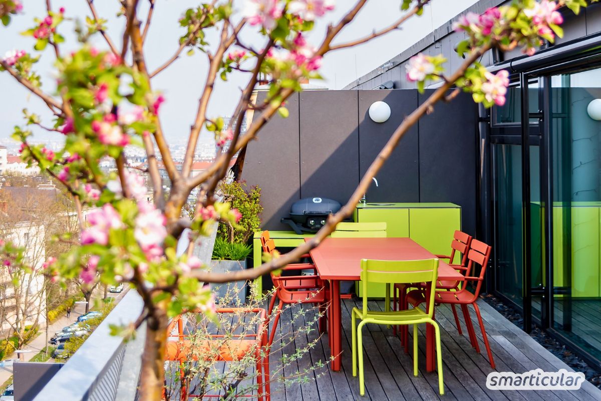 Einen Balkongarten anzulegen, ist gar nicht schwer: Mit diesen Tipps pflanzt du ein gesundes Kräuterbeet auf dem Balkon - und Gemüse noch dazu!