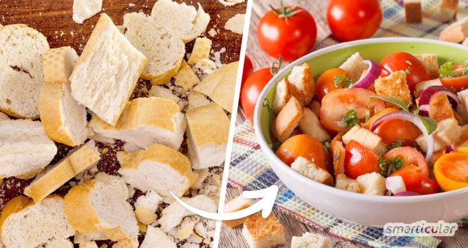 Brotsalat ist nicht nur in Italien eine beliebte Beilage. Mit ein paar Brotresten und etwas Gemüse lässt er sich im Handumdrehen zubereiten!