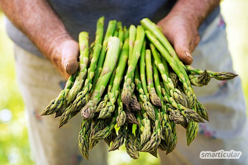 Grüner Spargel muss kaum geschält werden und braucht nicht so lange zu kochen wie weißer Spargel. So einfach lässt sich der vielseitige Vitalstoff-Lieferant zubereiten!