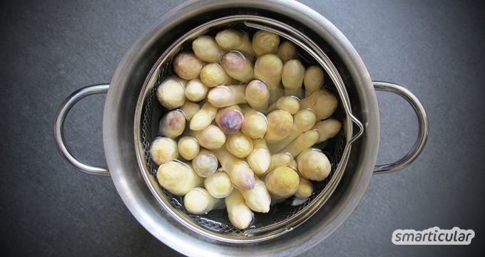 Alle Jahre wieder bringt der Spargel für einige Wochen besondere, gesunde Abwechslung auf den Teller. Hier findest du alle Zubereitungsarten auf einen Blick!
