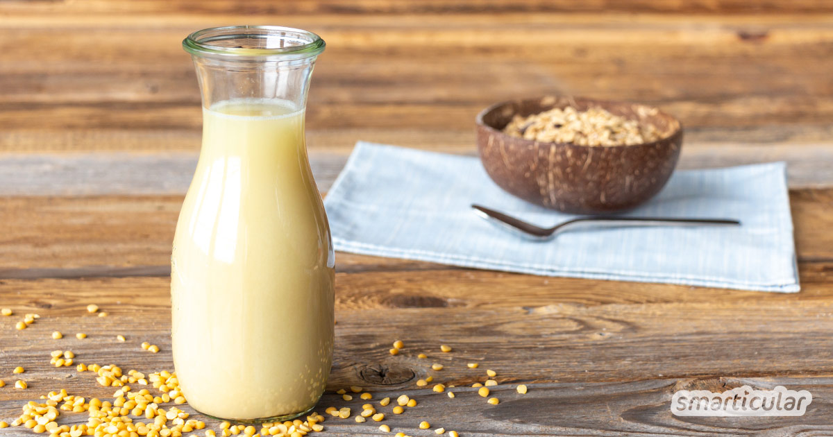 Erbsenmilch ist eine proteinreiche sowie lactose- und glutenfreie Alternative zu Kuhmilch. Mit diesem einfachen Rezept kannst du Erbsenmilch selber machen.