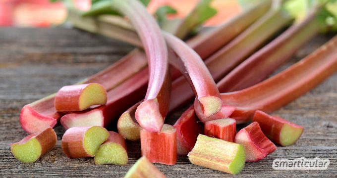 Rhabarber wächst schnell, ist gesund und leicht anzubauen. Hier erfährst du alles über die Rhabarber-Ernte, wie du ihn schälst und wie sich Rhabarber kochen lässt.