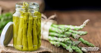 Spargel einkochen oder auch einwecken ist eine einfache Methode, das saisonale und gesunde Gemüse fürs ganze Jahr haltbar zu machen.