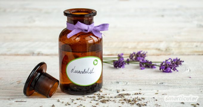 Um die heilsamen Wirkungen von Lavendel nutzen zu können, kann man beruhigendes, entspannendes Lavendelöl selber machen und vielseitig einsetzen.