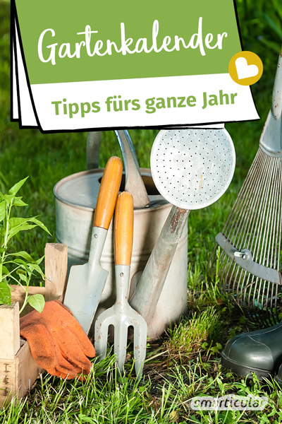 Der Gartenkalender gibt Tipps, welche Arbeiten im Frühjahr, Sommer, Herbst und Winter anstehen. Säen, pflanzen, düngen, ernten, alles zu seiner Zeit.