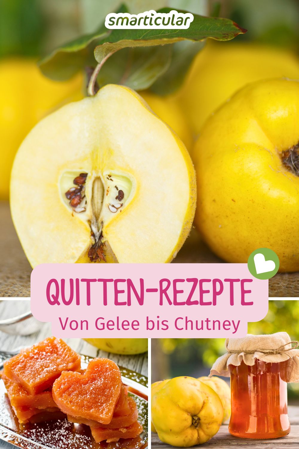 Hier findest du köstliche und einfache Quitten-Rezepte für die gesamte Frucht - von Quittenmarmelade, über Quittenchutney bis Quittengel.
