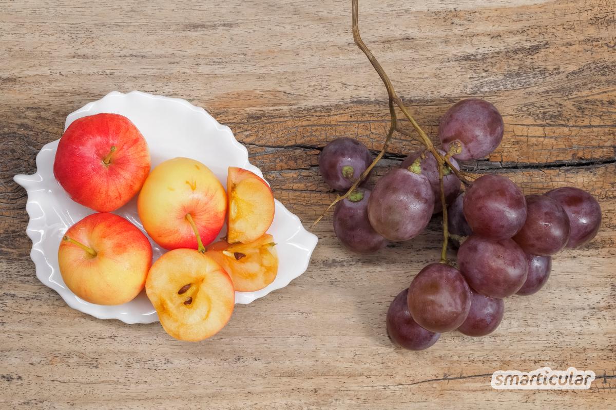 Wild- und Zieräpfel sind tatsächlich essbar. Für einige Rezepte eignen sie sich sogar besser als kultivierte Früchte. Das alles kannst du daraus machen!