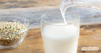 Buchweizenmilch ist eine glutenfreie und nussfreie Pflanzenmilch, die du im Handumdrehen preiswert selber machen kannst.