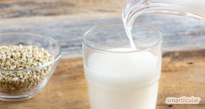 Buchweizenmilch ist eine glutenfreie und nussfreie Pflanzenmilch, die du im Handumdrehen preiswert selber machen kannst.