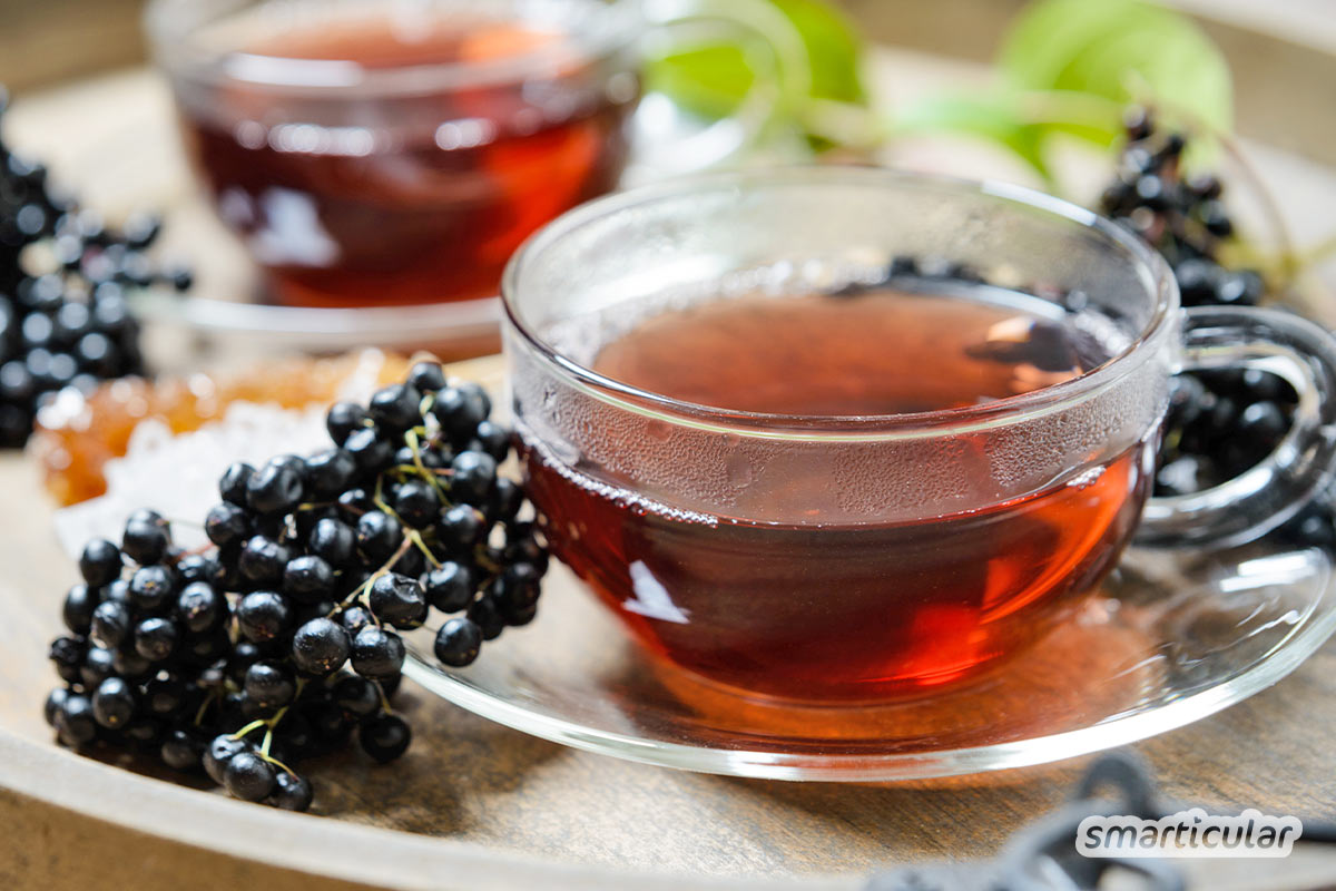 Holunderbeeren als Marmelade, Fruchtsuppe oder Tee - hier findest du köstliche und gesunde Rezepte, um Holunderbeeren zu verarbeiten.