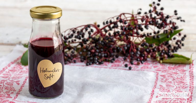 Holunderbeeren-Rezepte - gesund und lecker – smarticular Verlag