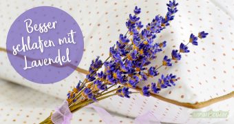 Lavendel unterstützt einen gesunden Schlaf und lindert mit seinen natürlichen Heilkräften Unruhe und Abgespanntheit. So nutzt du Lavendel für den gesunden Schlaf.