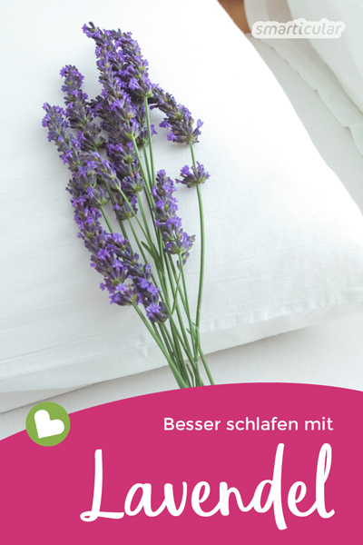 Lavendel unterstützt einen gesunden Schlaf und lindert mit seinen natürlichen Heilkräften Unruhe und Abgespanntheit. So nutzt du Lavendel für den gesunden Schlaf.