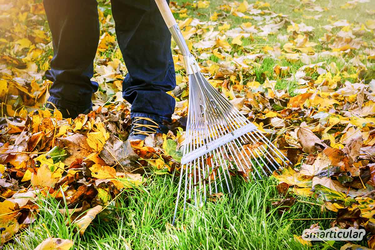 Große Mengen Herbstlaub lassen sich in einem Laubkompost zu fruchtbarer Erde kompostieren, statt sie im Bioabfall zu entsorgen. Wie das geht, erfährst du hier.