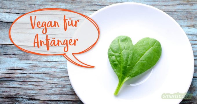 Mit diesen veganen Lebensmitteln ist es ein Leichtes, vegane Rezepte für Anfänger zu kreieren - für mehr pflanzliche Alternativen oder um vegan zu werden!