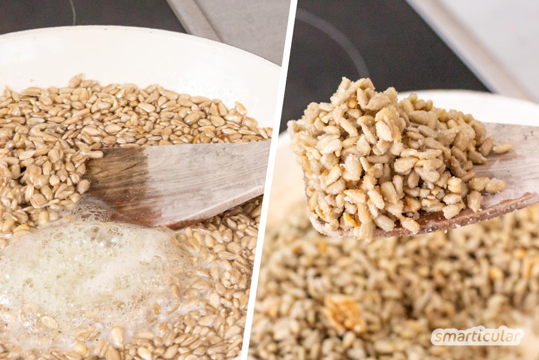 Gebrannte Sonnenblumenkerne sind eine köstliche, regionale Abwechslung zu gebrannten Mandeln. Mit diesem Rezept gelingen die karamellisierten Kerne ganz leicht.