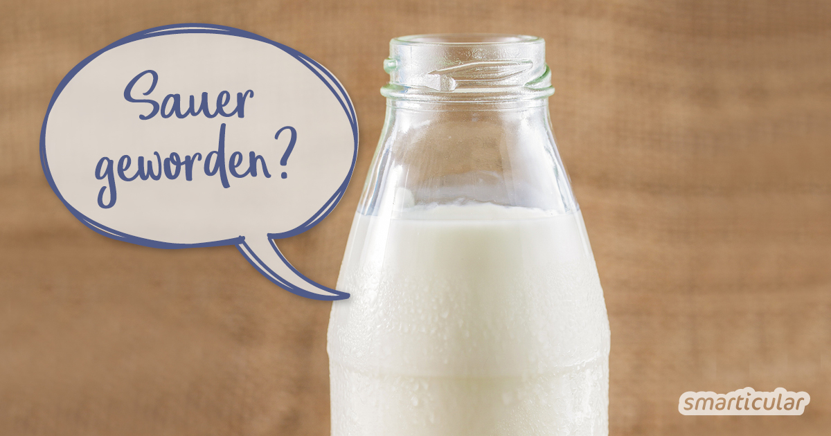 Saure Milch lässt sich vielseitig in der Küche, im Haushalt und im Garten verwerten, statt sie wegzuschütten. Hier findest du die besten Tipps und Rezepte!