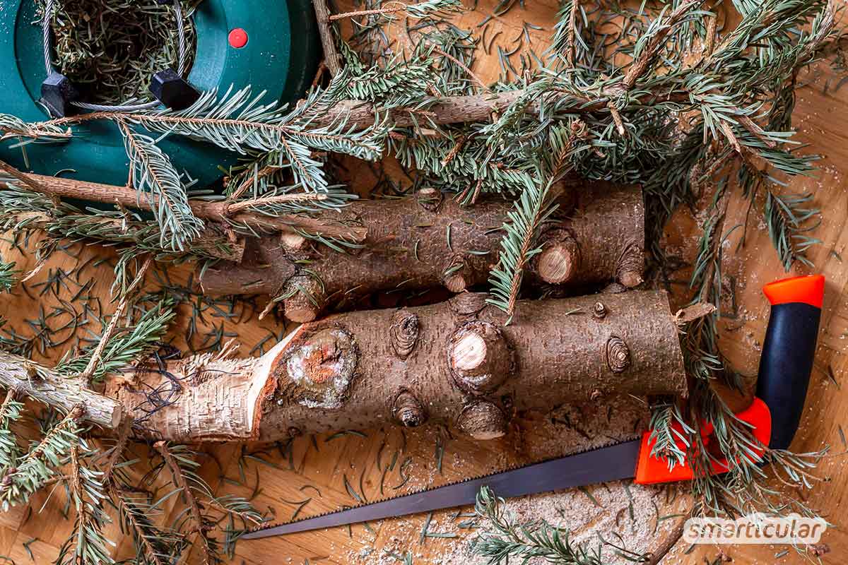 Der Gartenkalender Januar gibt Tipps, welche Arbeiten anstehen. Jetzt können Grünkohl und Rosenkohl geerntet und Kaltkeimer gesät werden.