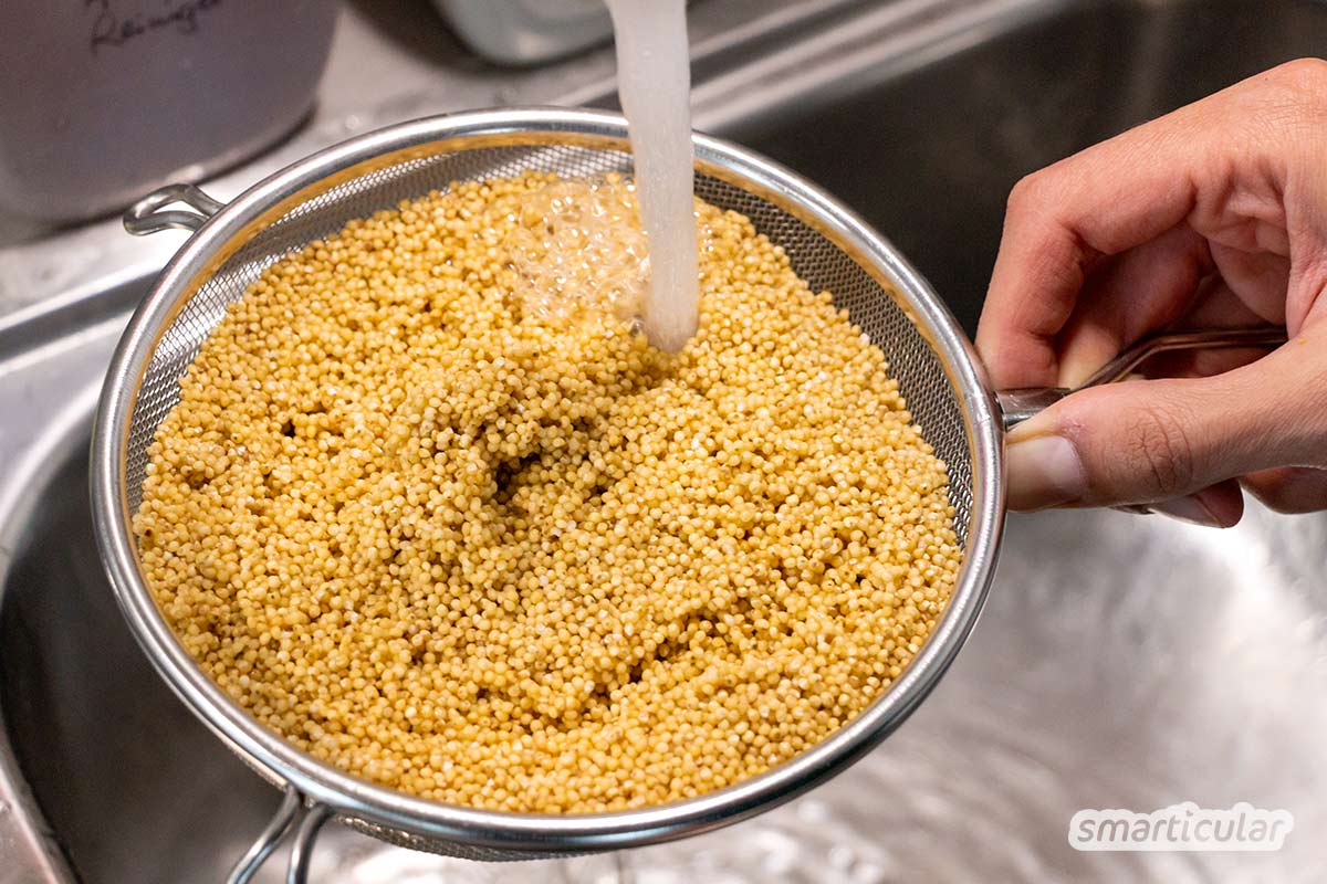 Als Alternative zu einem Risotto mit Reis aus Italien bietet sich ein cremiges Hirsotto mit regionaler Hirse an. Das Hirsotto wird ebenso einfach zubereitet.