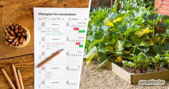 Um eine optimale Gemüseernte im Garten zu erzielen, empfiehlt es sich, den Gemüsegarten zu planen - am besten mit unserem Pflanzplan zum Ausdrucken und Ausfüllen.