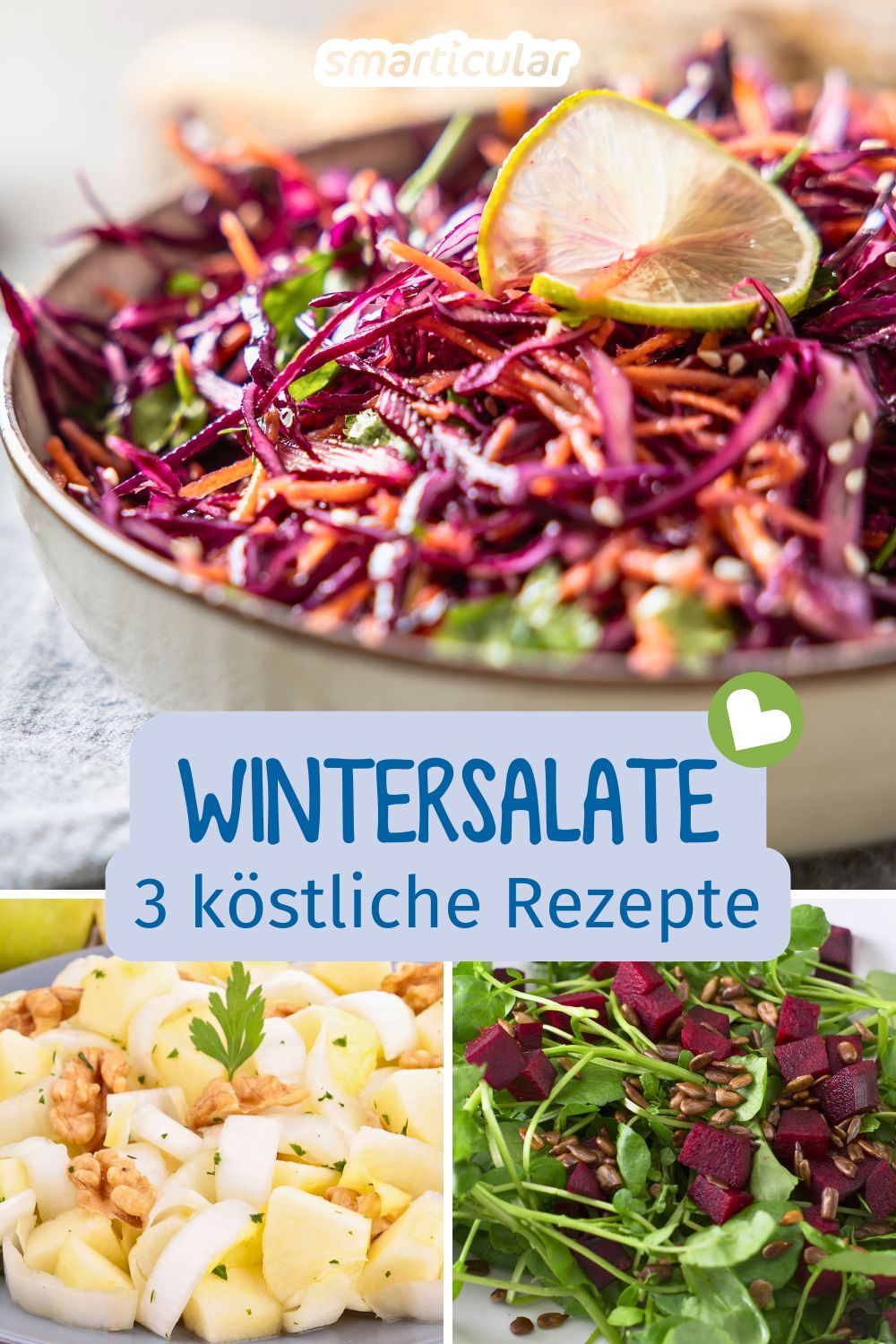 Ein Wintersalat aus saisonalen und regionalen Zutaten bereichert den Speiseplan und versorgt dich mit zahlreichen Vitalstoffen.