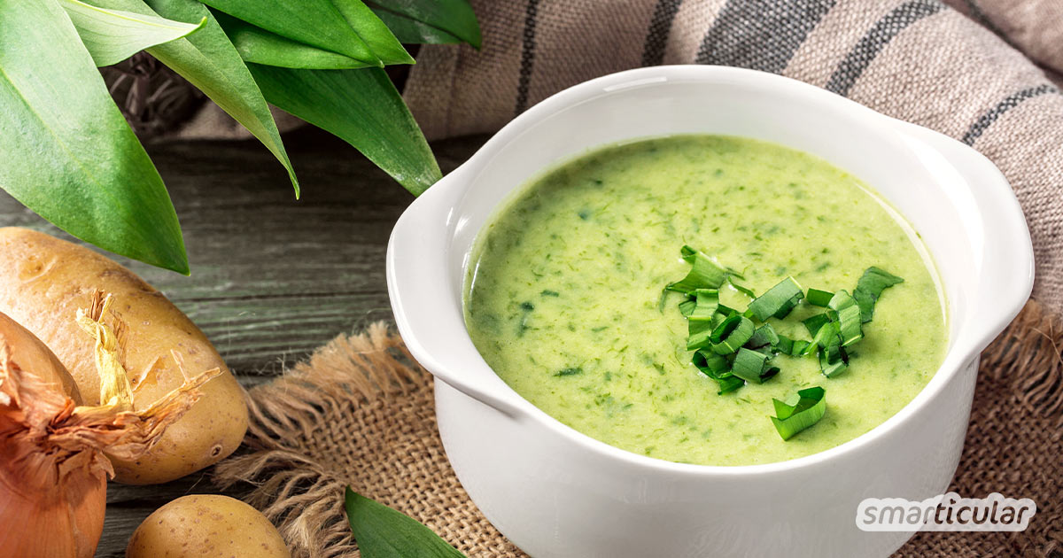 Der gesunde, vitalstoffreiche Bärlauch lässt sich mit diesem Rezept besonders einfach zu einer köstlichen Bärlauchsuppe verarbeiten.