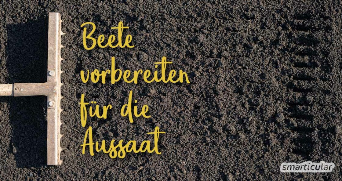 Rasen in Beet umwandeln Mulchbeet anlegen ohne Umgraben