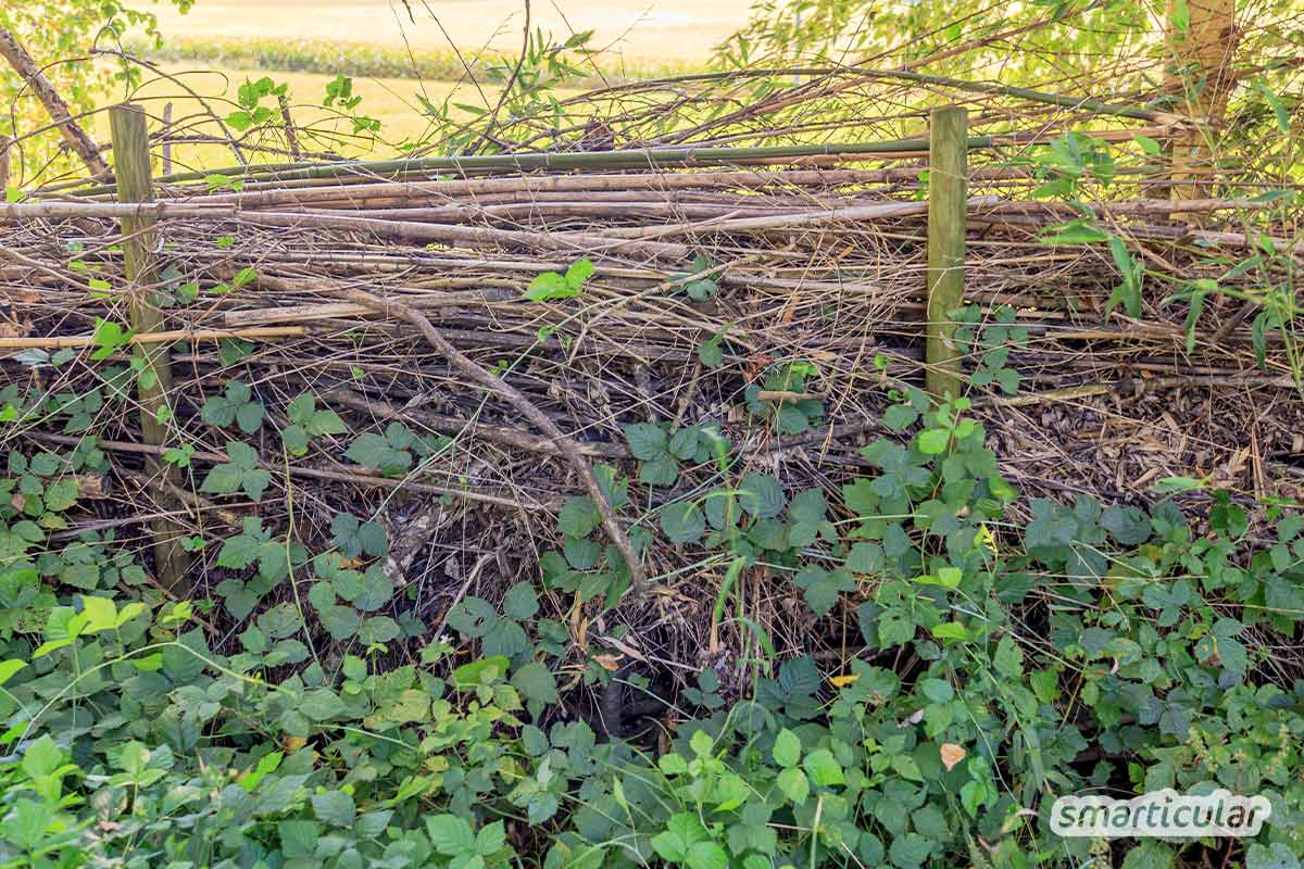 Ein Naturgarten macht weniger Arbeit und wirkt sich positiv auf die Umwelt und den Ertrag aus. So einfach lässt sich mit weniger Aufwand mehr erreichen.