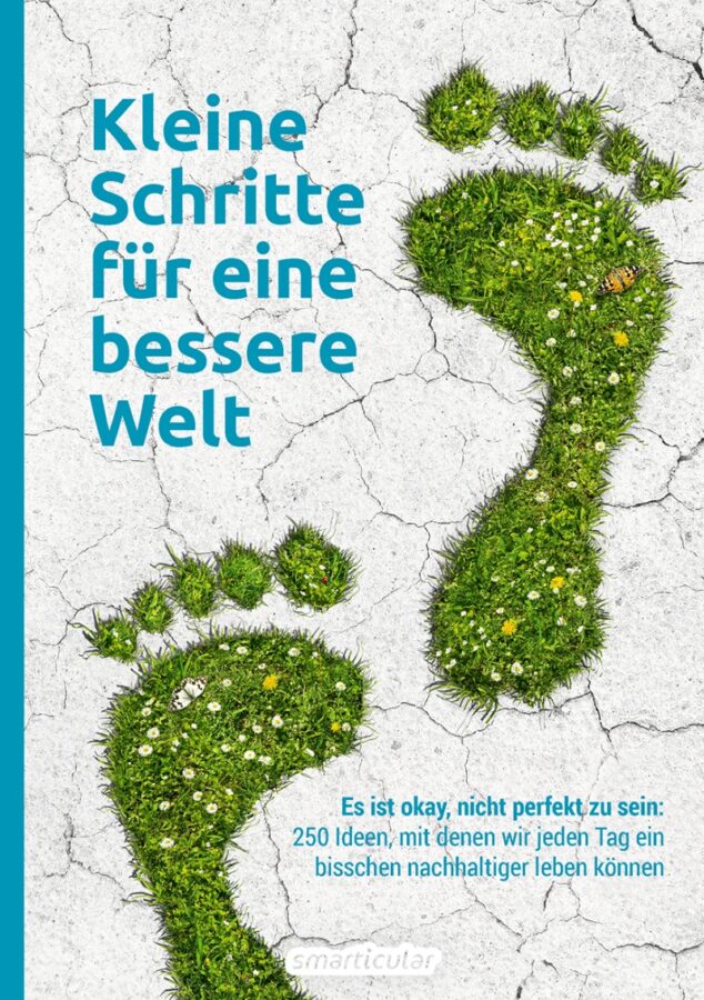 Ein Clean-up selbst organisieren und die Umwelt schützen