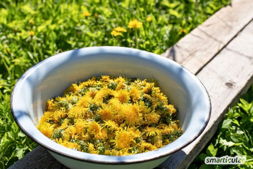 Löwenzahn-Honig lässt sich in vielen Speisen und Getränken als vegane Alternative verwenden - und mit diesem Rezept einfach selber machen.