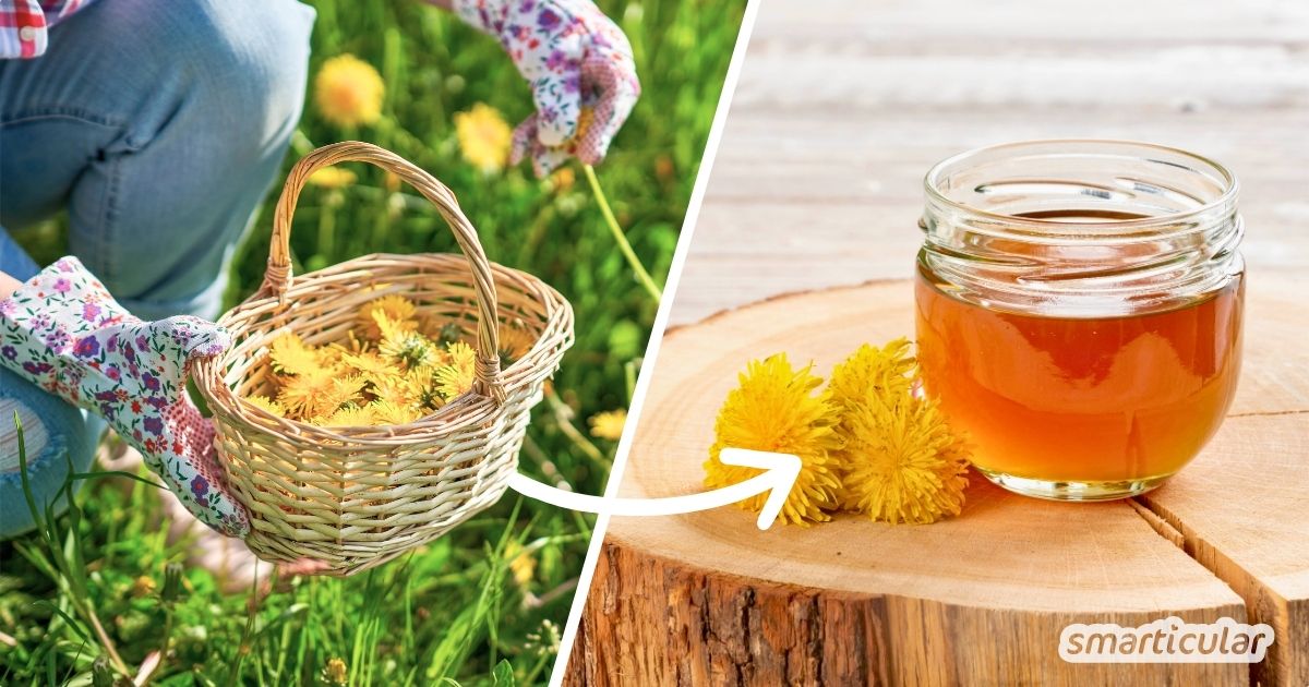 Löwenzahn-Honig lässt sich in vielen Speisen und Getränken als vegane Alternative verwenden - und mit diesem Rezept einfach selber machen.