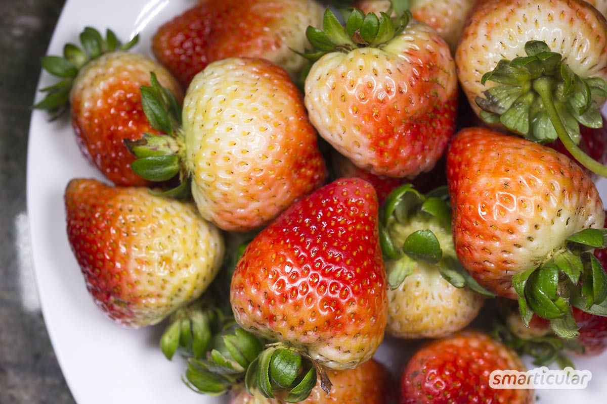 Wenn die Erdbeertorte zu langweilig wird, dann probiere diese ungewöhnlichen Erdbeerrezepte aus, um deine Ernte abwechslungsreich zu verwerten!