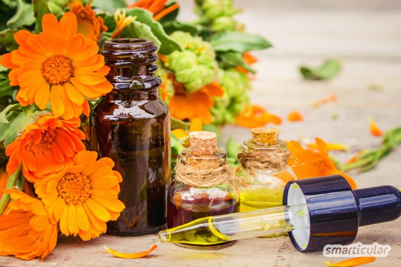 Die beliebte Ringelblume ist reich an heilsamen Inhaltsstoffen. Hier findest du zahlreiche Rezepte für die Hausapotheke sowie Ideen für die Küche.
