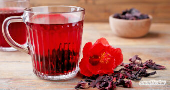 Hibiskusblüten können mehr als Früchtetee rot zu färben, denn sie besitzen heilsame Eigenschaften und sind äußerst aromatisch - zum Beispiel als Hibiskus-Sirup.
