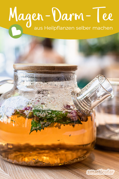 Magen-Darm-Beschwerden wie Übelkeit, Durchfall oder Blähungen lassen sich mit Hausmitteln und Heilpflanzen auf natürliche Weise lindern.