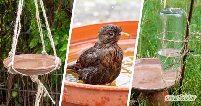 Eine Vogeltränke kann jeder selber machen, viel preiswerter als eine gekaufte Tränke. Die besten Ideen für selbst gemachte Vogeltränken findest du hier.