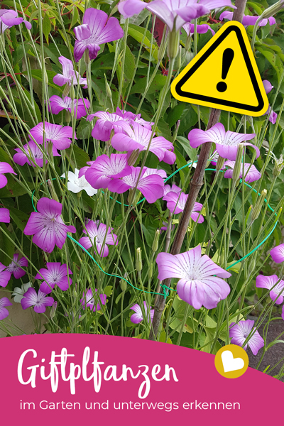 Achtung! Giftige Pflanzen im Garten können zur Gefahrenquelle werden – vor allem, wenn Kinder im Spiel sind. Hier findest du 15 gängige Giftpflanzen.